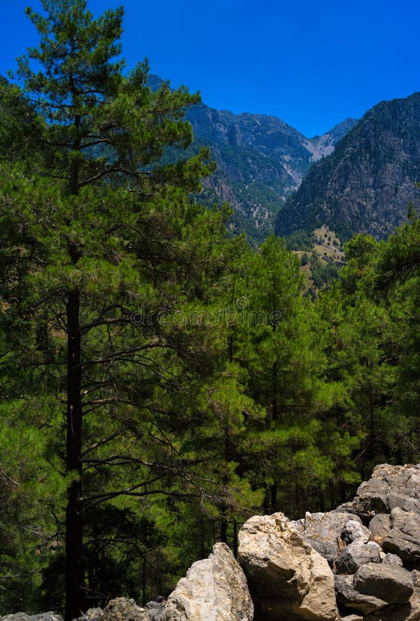 Vertical Vibrant Red Fire Hydrant Buried in Snow during Winter in Park