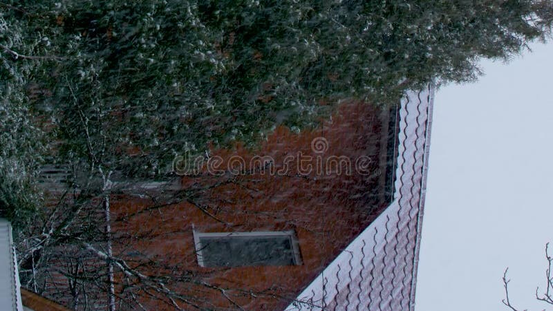 Vertical video. Snow falls on the background of a house and a tree. stock footage