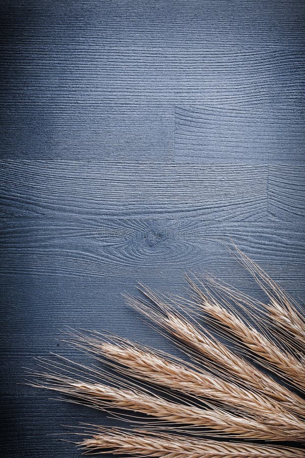Vertical view stack of wheat ears on vintage board with copyspac