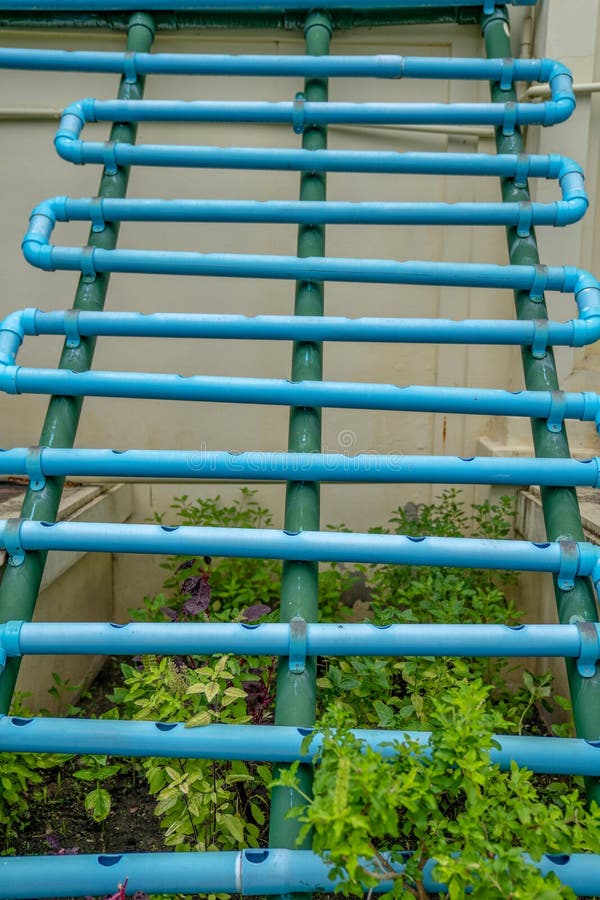Verticale Hydrophobic de landbouwstructuur in het organische openlucht tuinieren royalty-vrije stock afbeeldingen Verticale Hydrophobic de landbouwstructuur in het organische openlucht tuinieren royalty-vrije stock afbeeldingen