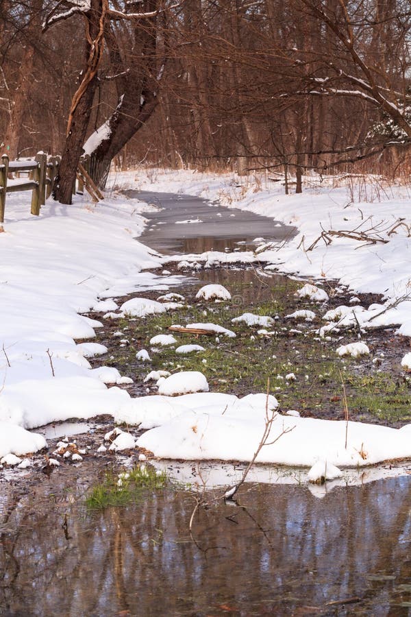 Verticale Virginia Landscape de dégel d'hiver images stock Verticale Virginia Landscape de dégel d'hiver images stock