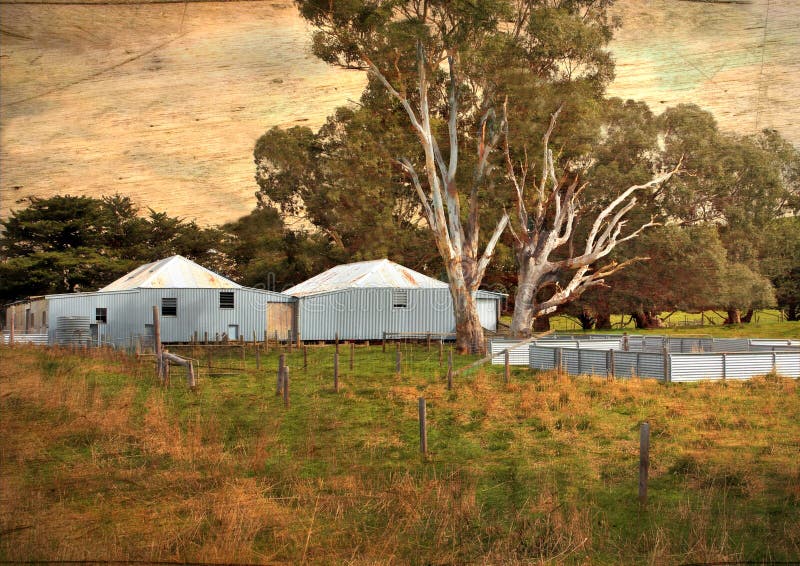 Vertientes australianas viejas de esquileos imagen de archivo libre de regalías Vertientes australianas viejas de esquileos imagen de archivo libre de regalías