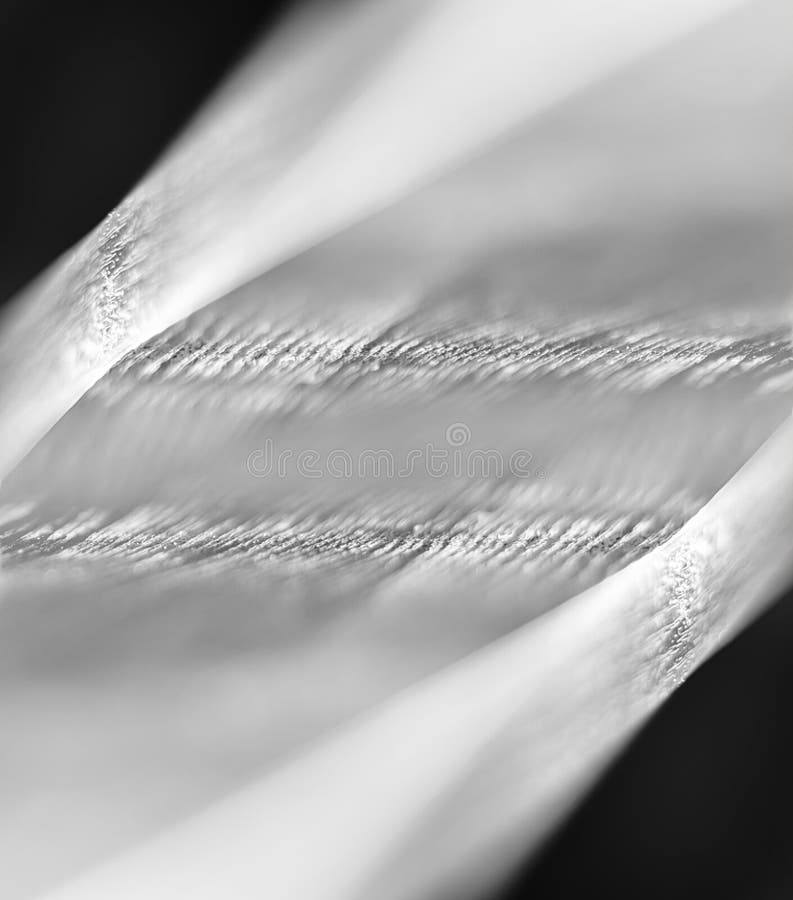 Vertikal livlig vibrerande svartvit digital abstraktionsuddighet royaltyfria foton