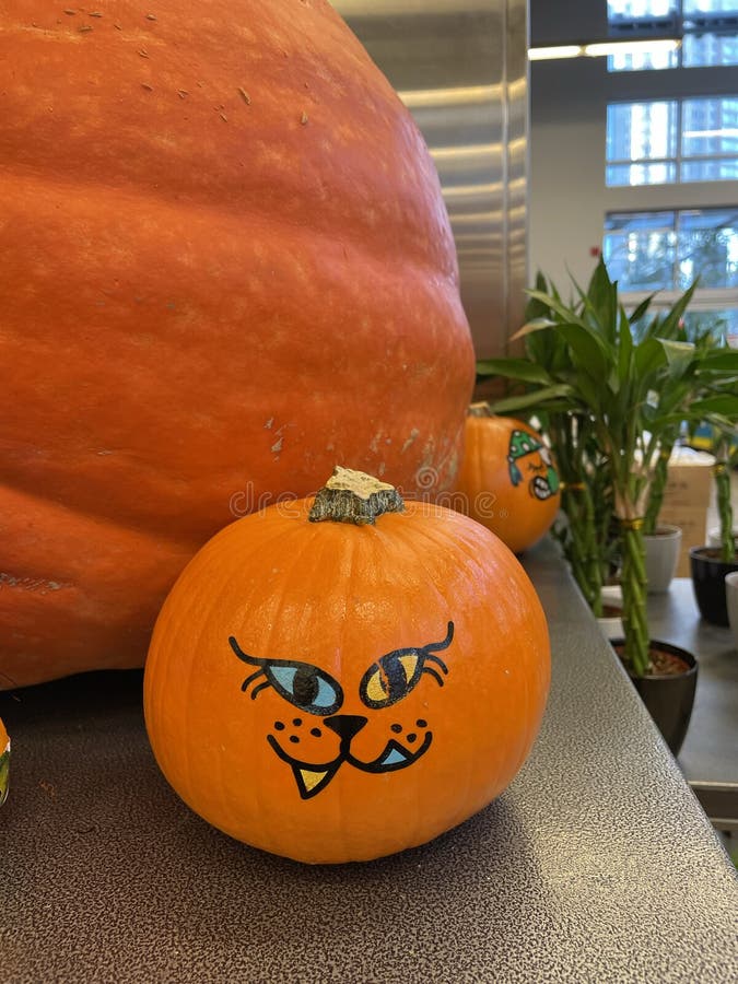 Vertikalaufnahme eines dekorierten Kürbis, der wie eine Katze auf halloween in einer Kürbispflasterei gemalt wurde lizenzfreie stockfotos
