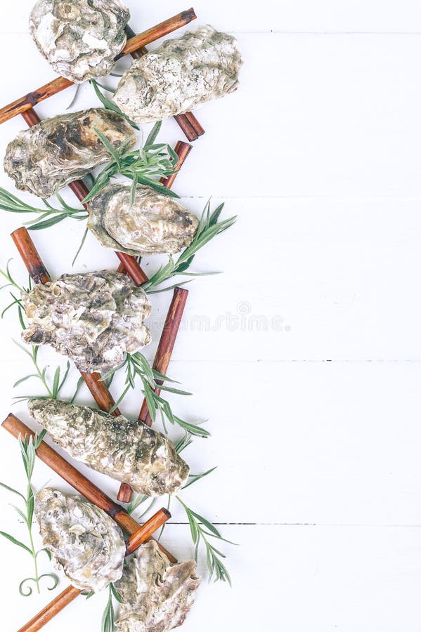 Vertikale Badekurortfahne Austernoberteile, Seekiesel, trockener Bambus, junge Sprösslinge auf einem hölzernen weißen Hintergrund stockbild Vertikale Badekurortfahne Austernoberteile, Seekiesel, trockener Bambus, junge Sprösslinge auf einem hölzernen weißen Hintergrund stockbild