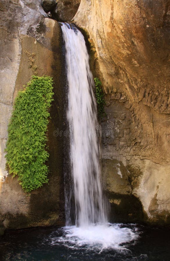 Vertikaler Wasserfall mit Grünpflanzen auf der Seite stockfotos Vertikaler Wasserfall mit Grünpflanzen auf der Seite stockfotos
