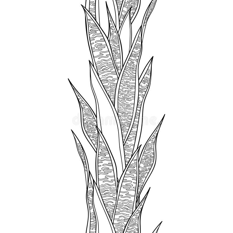 Vertikalt sömlöst vektormönster med konturen Sansevieria eller ormplanta eller svärmors tunga svarta blad på vitt stock illustrationer