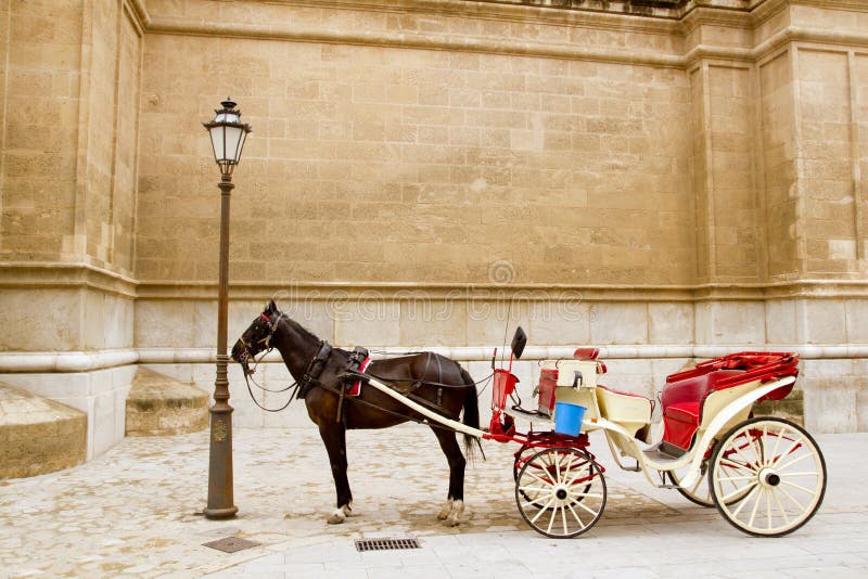 Vervoer met paard in kathedraal Majorca in Palma