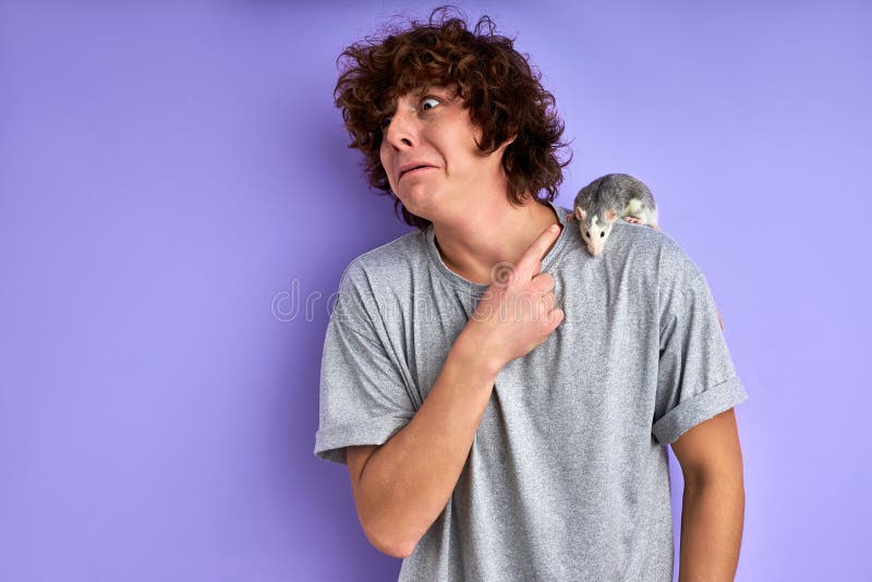 Verwirrter männlicher Zeigefinger an der Ratte auf ihren Schultern lizenzfreies stockbild