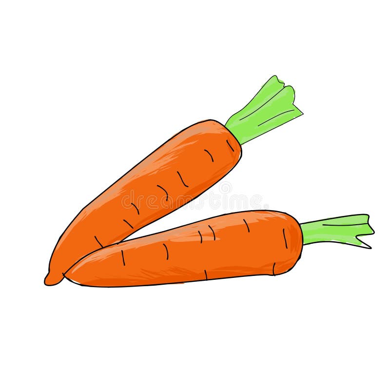 Very adorable carrot pictures royalty free illustration