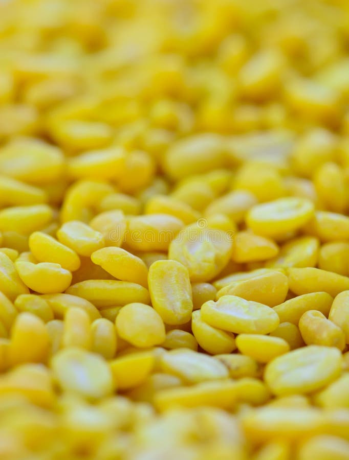 Very Closeup of Split Yellow Mung Beans Stock Photo Image of macro, grain 46568606