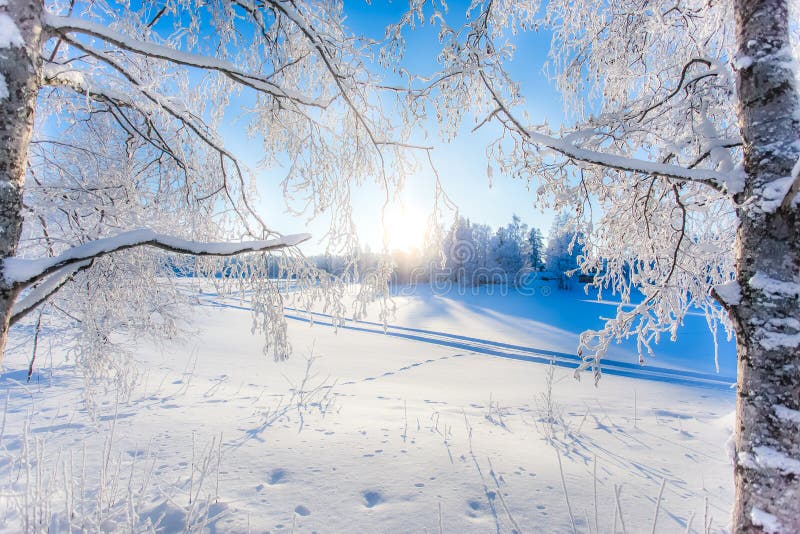 Very cold winter day scenery from Sotkamo, Finland. stock image Very cold winter day scenery from Sotkamo, Finland. stock image