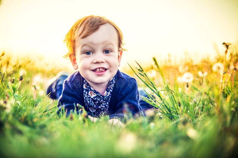 Molto Carino un bambino ragazzo ritratto natura da bianco dente di leone prato sdraiarsi sul, soleggiato tramonto.