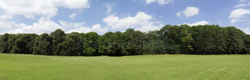 Very High Definition Treeline with a Colorful Blue Sky Stock Photo