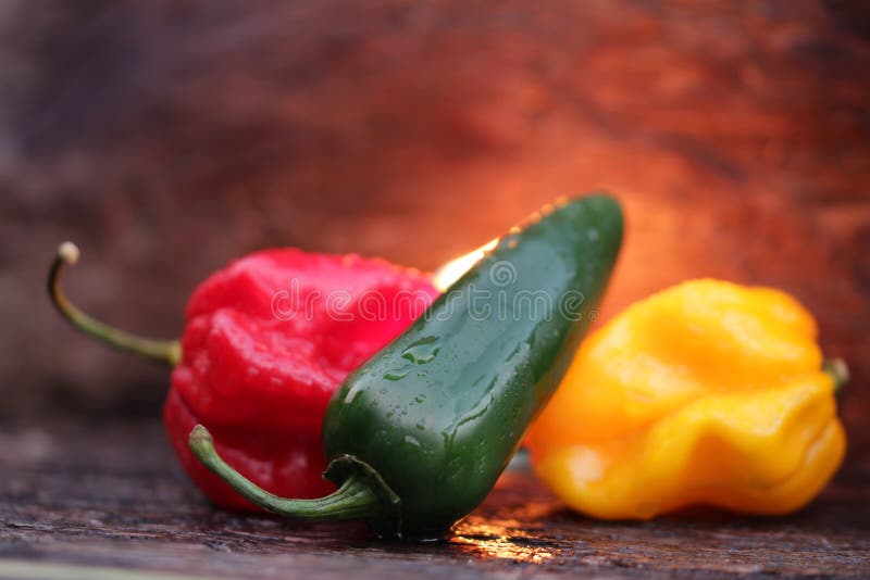 Very hot chili peppers stock image. Image of jalapenos 76375231