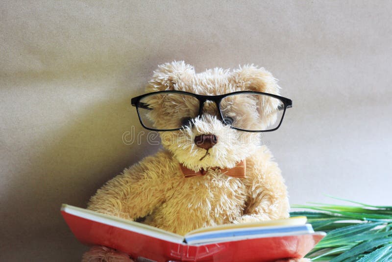 Teddy bear reading story book immagini e fotografie stock ad alta  risoluzione - Alamy