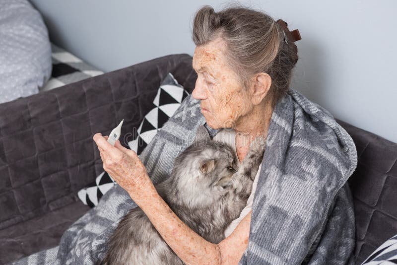 A very old senior Caucasian grandmother with gray hair and deep wrinkles is sitting at home on a sofa with a pet cat stock image A very old senior Caucasian grandmother with gray hair and deep wrinkles is sitting at home on a sofa with a pet cat stock image