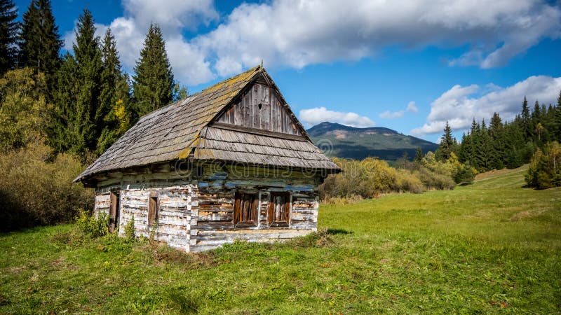 Old house in the woods