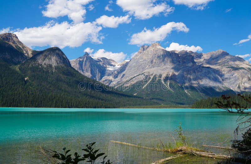 verão em Emerald Lake, Columbia Britânica foto de stock verão em Emerald Lake, Columbia Britânica foto de stock