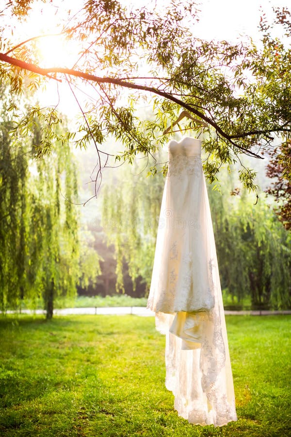 Wedding dress hanging on the tree. Wedding dress hanging on the tree