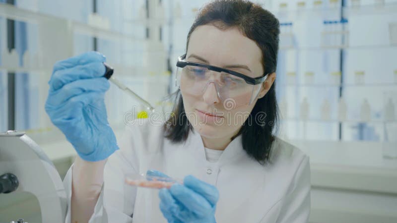 Vestimenta de uma cientista feminina em roupão e óculos segurando uma placa de Petri com uma amostra de carne artificial