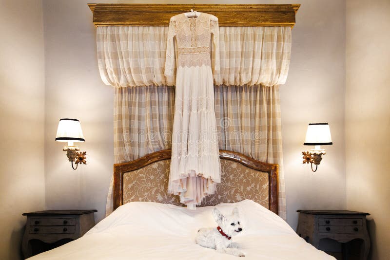 Vestito da sposa che appende sul letto nella stanza e nel cane bianco sveglio immagine stock libera da diritti Vestito da sposa che appende sul letto nella stanza e nel cane bianco sveglio immagine stock libera da diritti