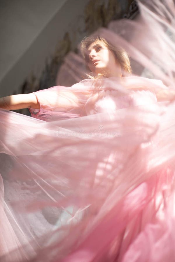 Vestito rosa dal cigno, congelato momento immagini stock libere da diritti Vestito rosa dal cigno, congelato momento immagini stock libere da diritti