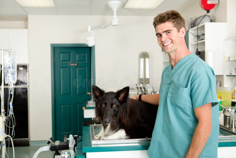 Small Animal Vet Clinic stock photo. Image of healthy 15835264