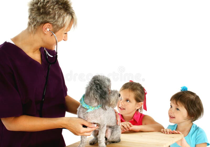 Vet, Dog And Children