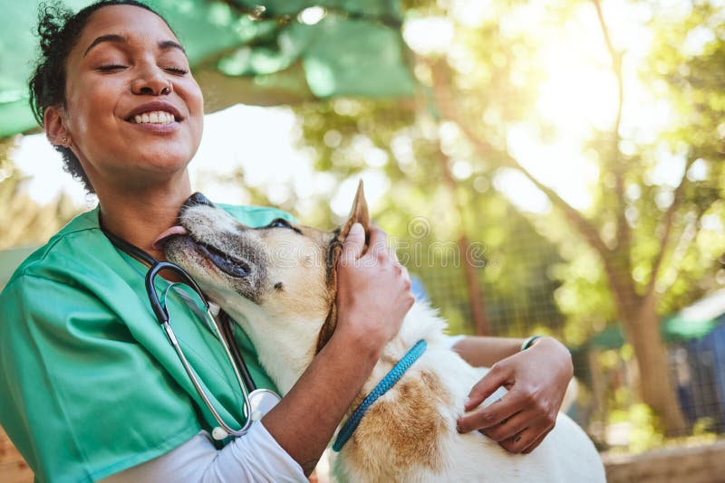 Vet, happy and nurse with a dog in nature doing medical healthcare checkup and charity work for homeless animals. Smile