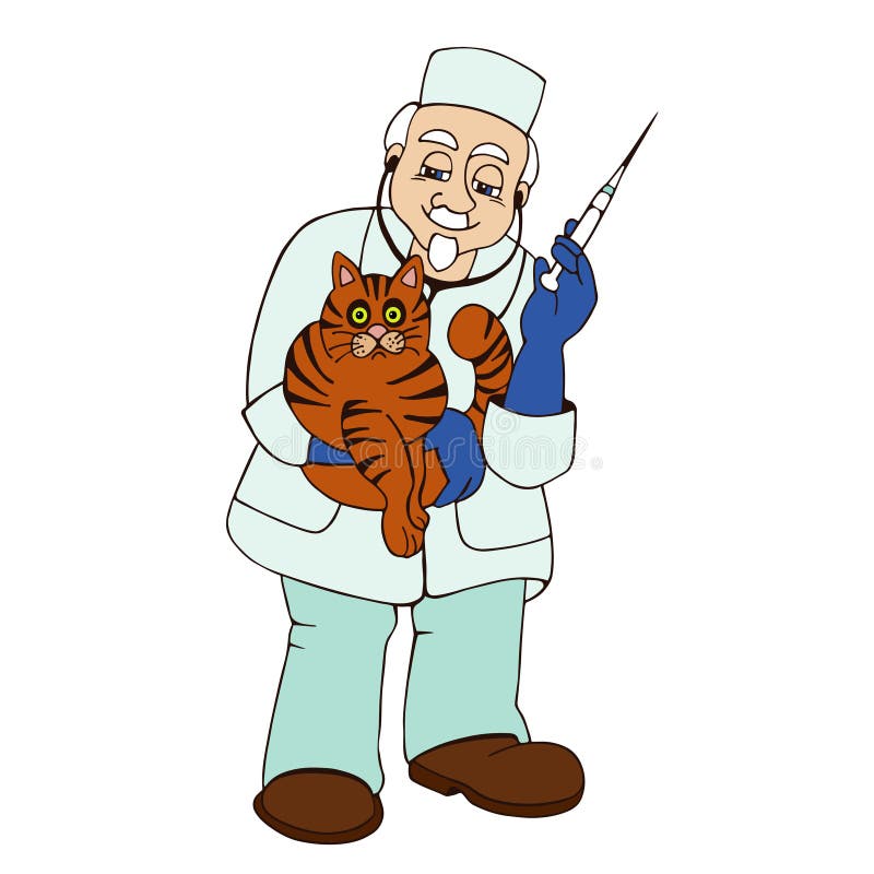 Veterinarian Doctor Helping A Cat Stock Vector Illustration of kitty