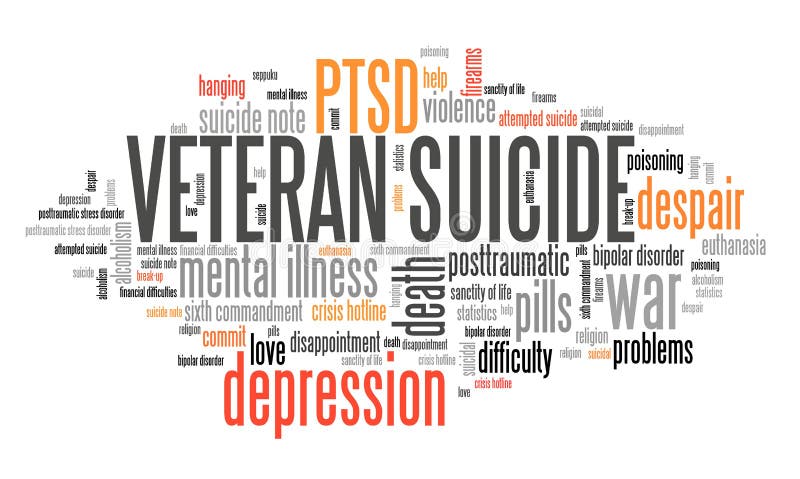 Veteran suicides PTSD