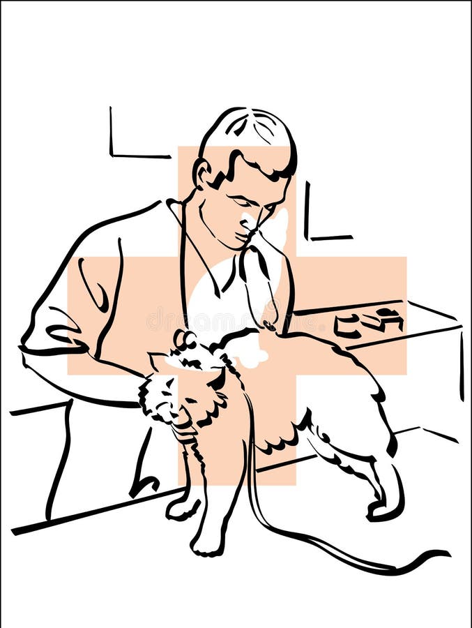 Médico Veterinário Dos Desenhos Animados Examinando Gato Ilustração imagem  vetorial de hermandesign2015@gmail.com© 666510242