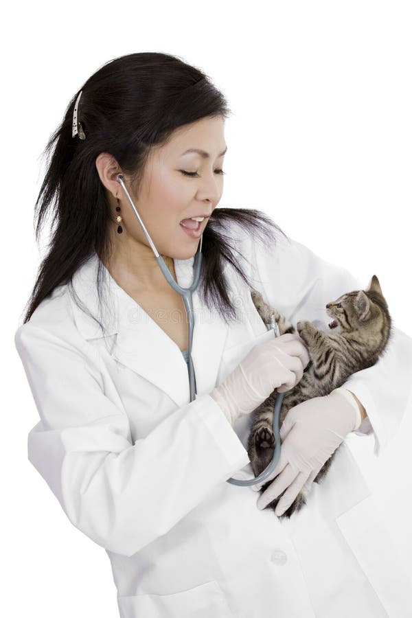 cat lab coat