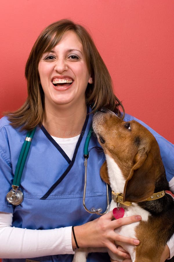 Veterinarian stock image. Image of women, surgeon, examination 2919999