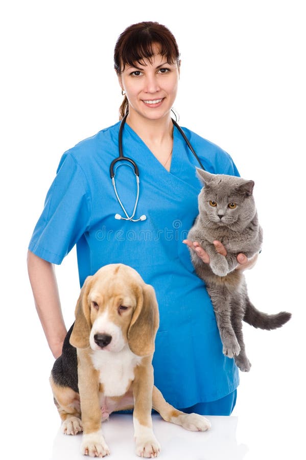 Veterinarian with cat and dog. isolated on white background.