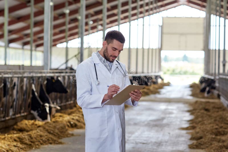 Agriculture industry, farming, people and animal husbandry concept - veterinarian or doctor with clipboard and herd of cows in cowshed on dairy farm. Agriculture industry, farming, people and animal husbandry concept - veterinarian or doctor with clipboard and herd of cows in cowshed on dairy farm