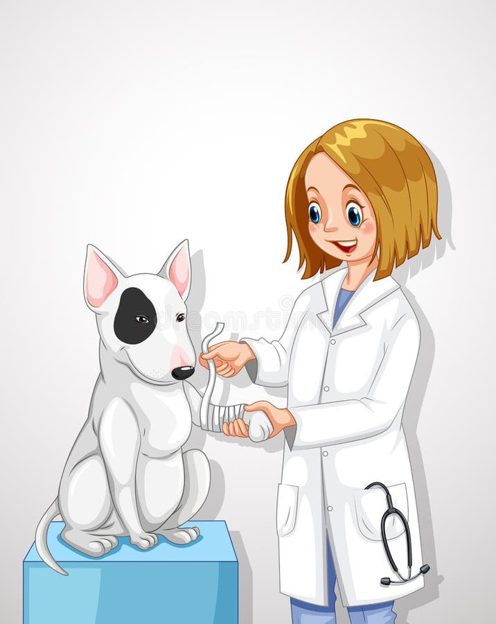 Veterinarian Doctor Helping a Dog. Medicine, help.