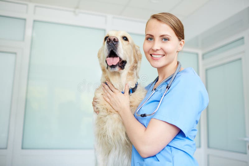 Happy young veterinarian with dog looking at camera. Happy young veterinarian with dog looking at camera