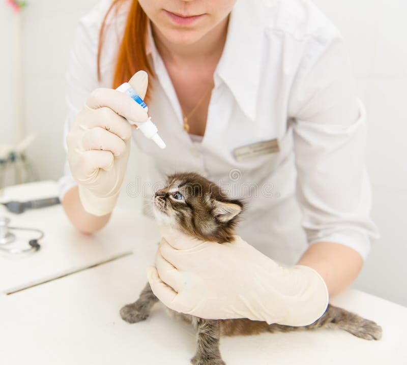 259 Baby Eye Drops Stock Photos Free & RoyaltyFree Stock Photos from Dreamstime