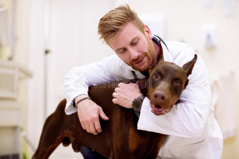 Veterinarian giving a hug to his patient stock photos Veterinarian giving a hug to his patient stock photos