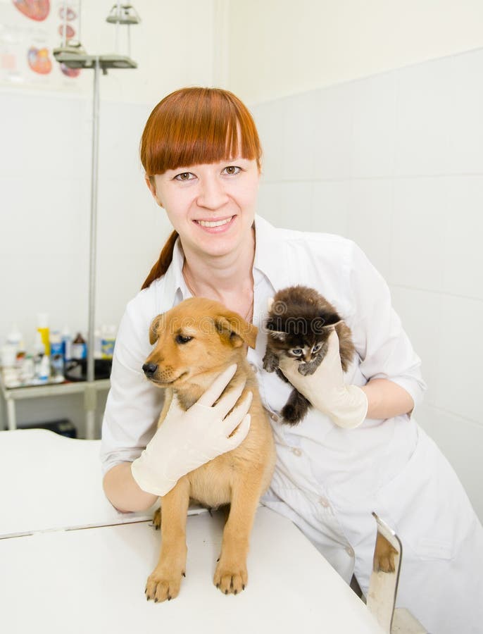 Veterinarian Hugging Cat and Dog Stock Image Image of hand