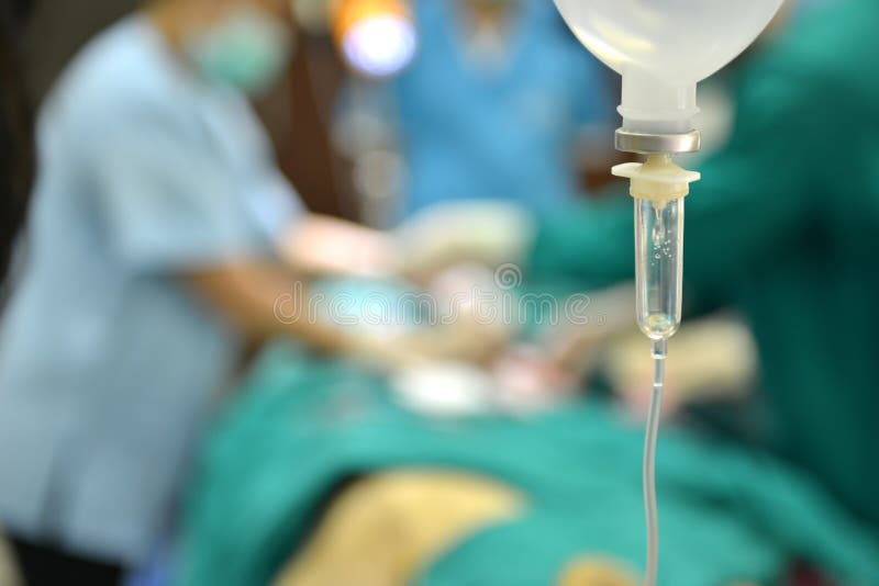 Veterinarian performing an operation on a lion