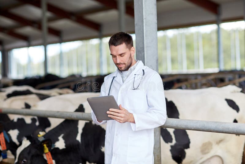 Agriculture industry, farming, people and animal husbandry concept - veterinarian or doctor with tablet pc computer and herd of cows in cowshed on dairy farm. Agriculture industry, farming, people and animal husbandry concept - veterinarian or doctor with tablet pc computer and herd of cows in cowshed on dairy farm