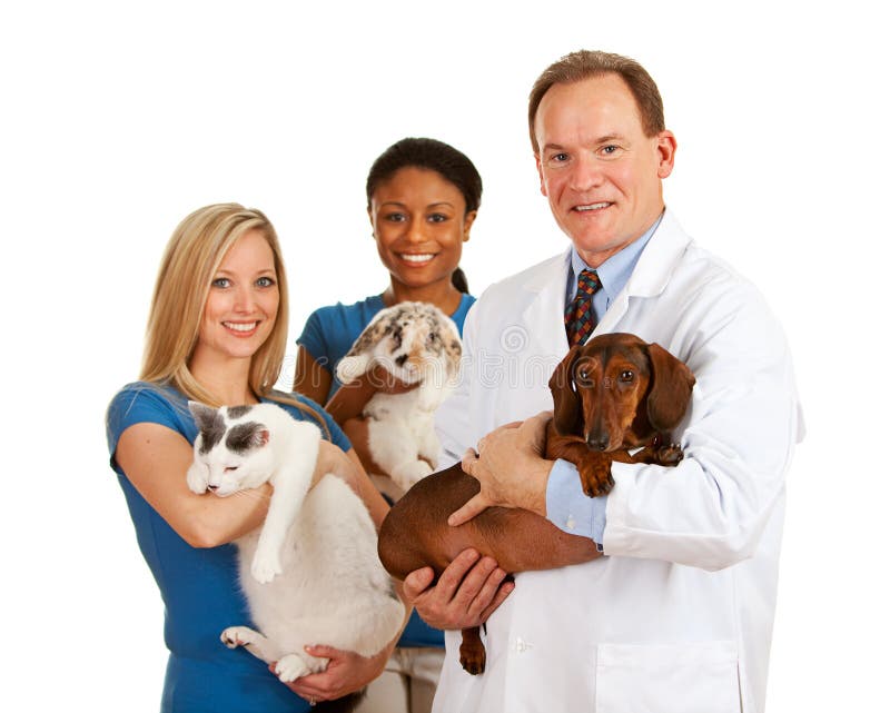 Series with a Cacucasian Veterinarian, and mixed-ethnicity group of assistants and customers. Holding rabbit, cat and dog. Isolated on white. Series with a Cacucasian Veterinarian, and mixed-ethnicity group of assistants and customers. Holding rabbit, cat and dog. Isolated on white.