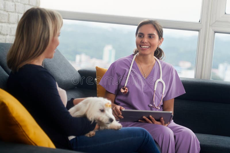 Veterinario con el dueño y el animal doméstico del perro durante la visita casera foto de archivo libre de regalías Veterinario con el dueño y el animal doméstico del perro durante la visita casera foto de archivo libre de regalías
