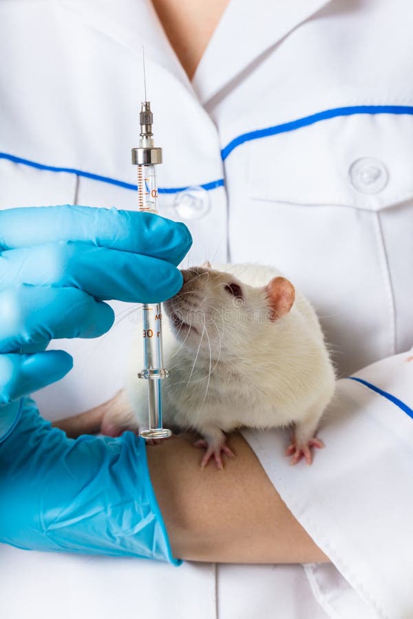 Вакцина мыши