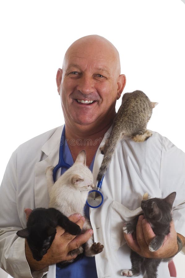 Veterinarian holding 4 kittens for exam. Veterinarian holding 4 kittens for exam