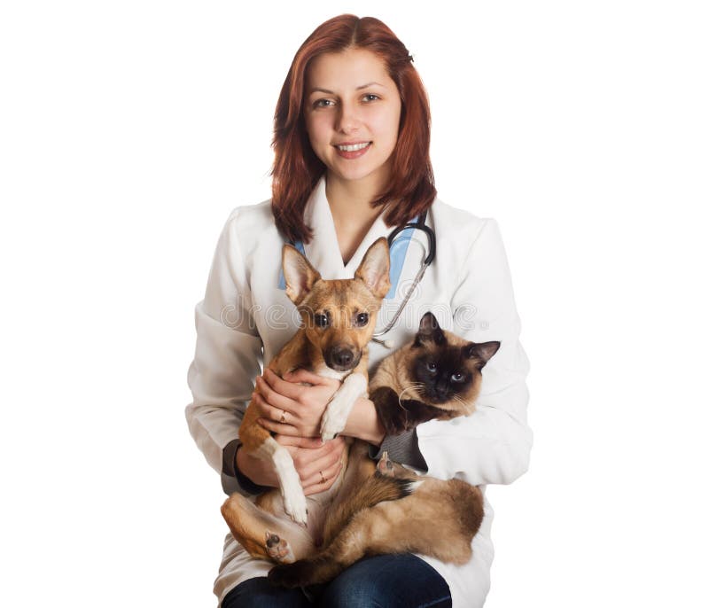 Veterinario de la mujer con los animales domésticos fotografía de archivo libre de regalías Veterinario de la mujer con los animales domésticos fotografía de archivo libre de regalías