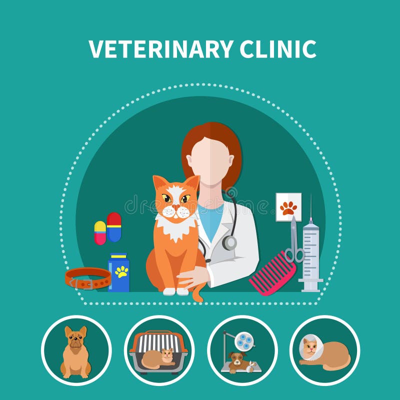 Veterinary Clinic 4 Flat Icons Square Stock Vector - Illustration of ...